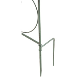 Treillis Mandevilla vert antique